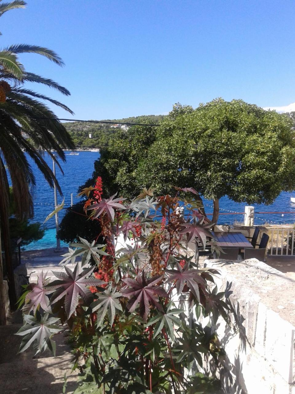 Apartman Radosic Hvar Town Eksteriør billede